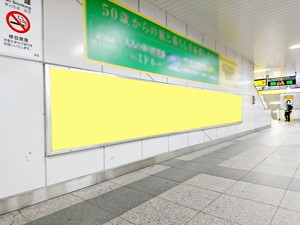 秋葉原駅 ロングサイズ