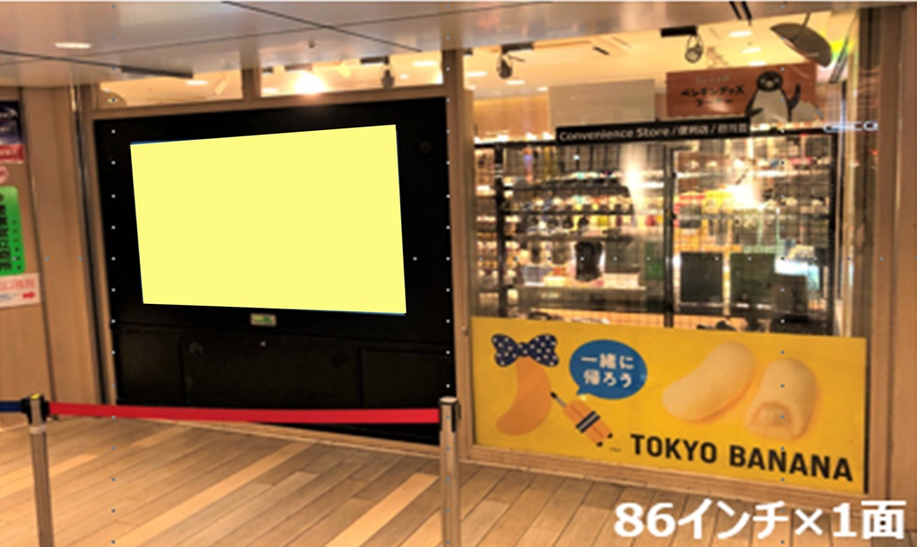 NewDaysビジョン グランスタ東京京葉ストリート（貸切）