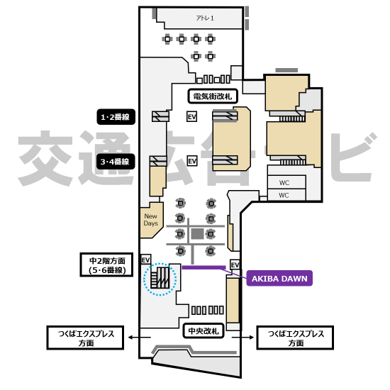AKIBA DAWN位置図
