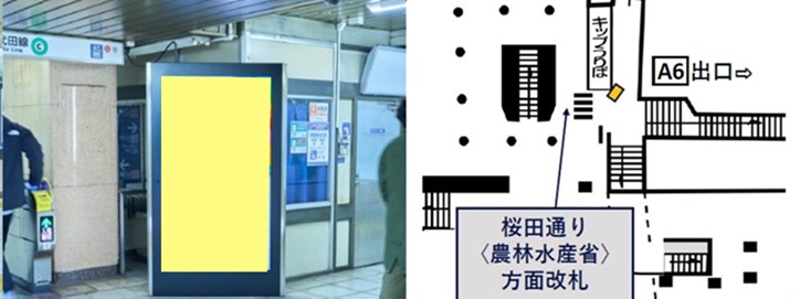 霞ヶ関駅（丸ノ内線 桜田通り(農林水産省)方面改札）