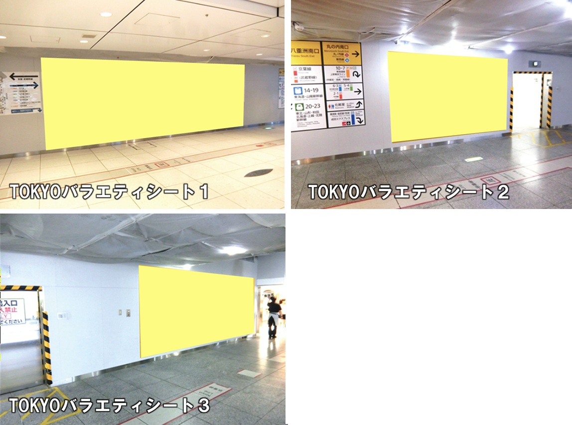 TOKYOバラエティシート