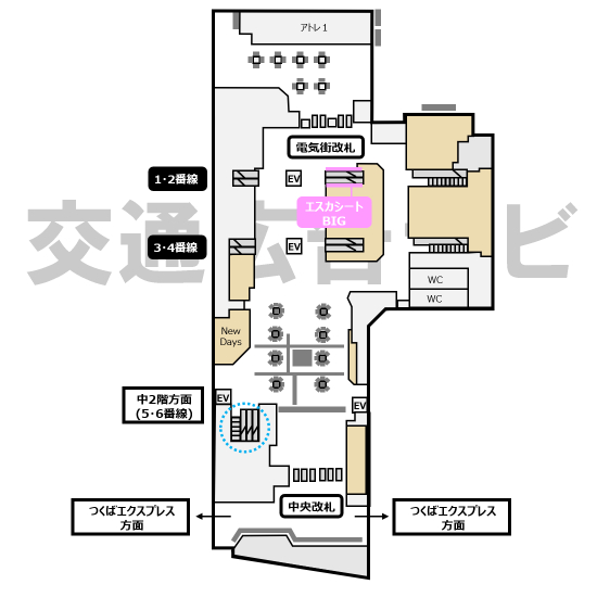 秋葉原エスカシートBIG位置図