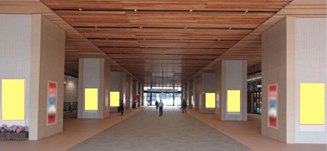 ストリートビジョン