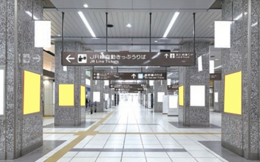 浜松駅 浜松セット