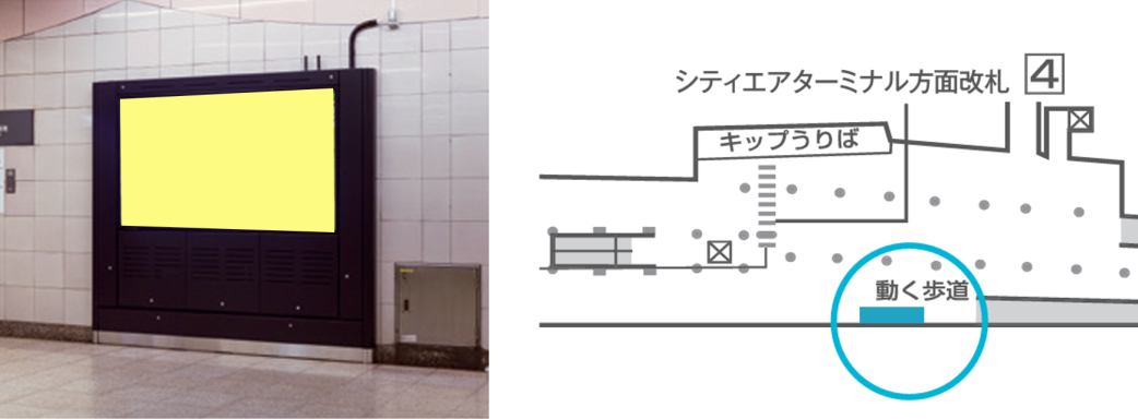 MetroWallVision
