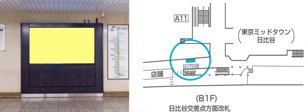 MetroWallVision