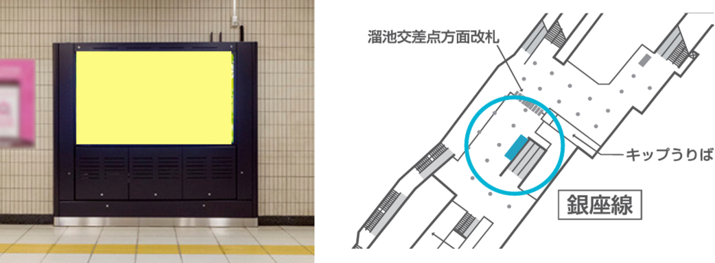 MetroWallVision