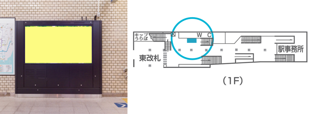 MetroWallVision
