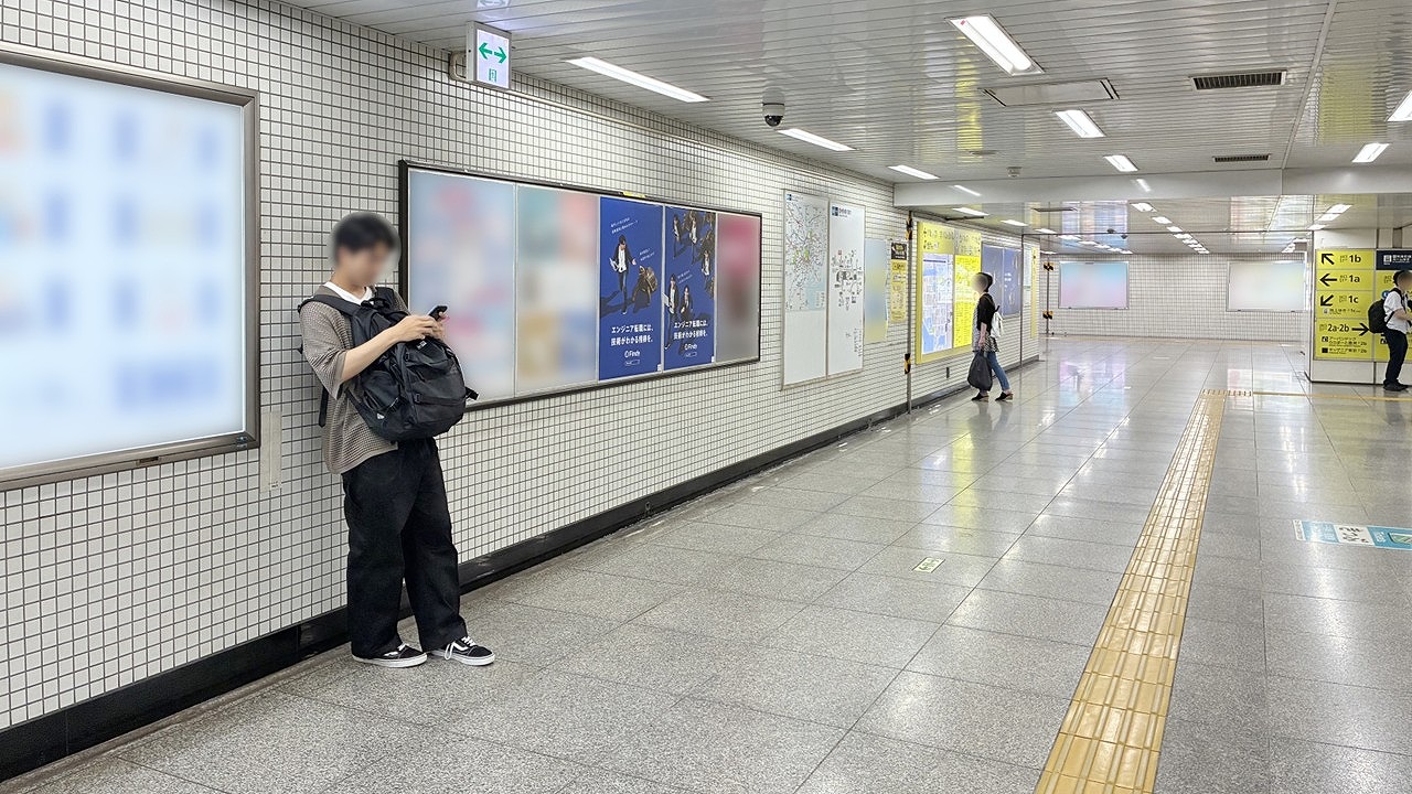 ファインディ株式会社_豊洲駅_駅ポスターB1サイズ掲載写真 (2)